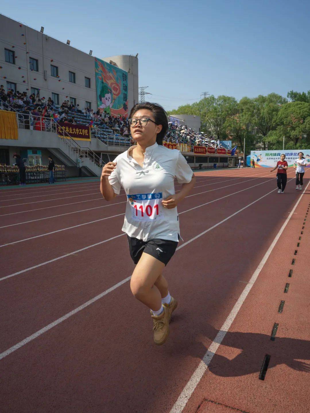 关于运动员们团结一心，决战赛场的信息