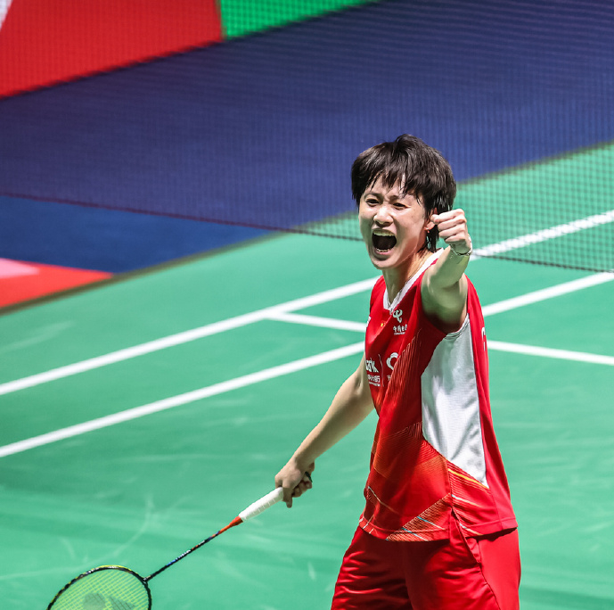 丹麦队轻取法国队，陈雨菲惊艳四座的简单介绍