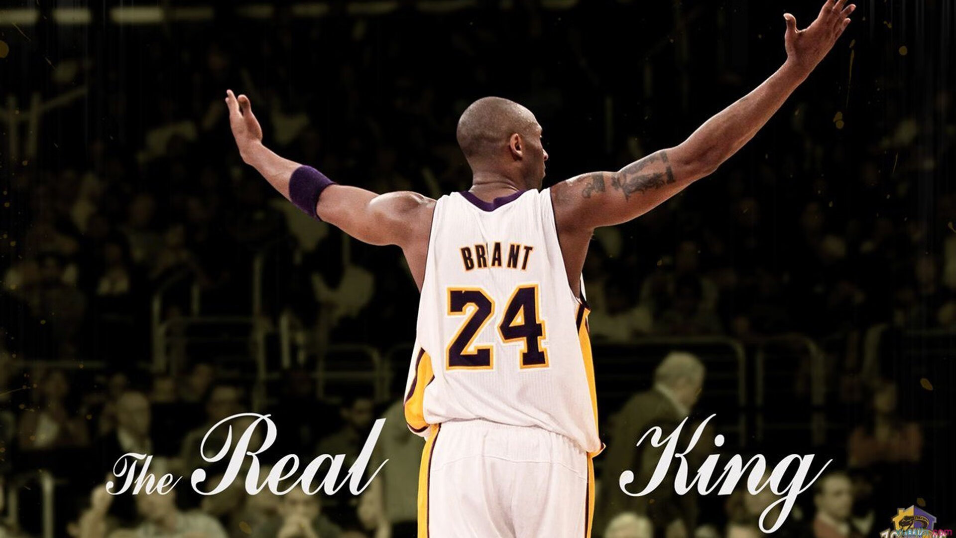 魔笛破晓，织网缚日，福克斯冠军级表现与篮网的节奏艺术